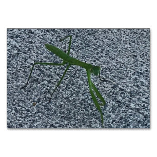 Numeração De Mesa Verbos, Rezando Mantis Andando, Leitura de Cartaze