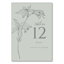 Vinhas Mãos Mínimas Cinzas Verdes