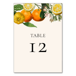 Numeração De Mesa Vintage Lemon Orange Greenery Botanical Weding