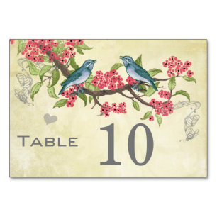 Numeração De Mesa Vintage Love Bird Pink Red Tea Blue Green