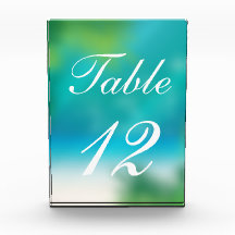 Numero Acrílico da Mesa de Casamento da Summer Bea