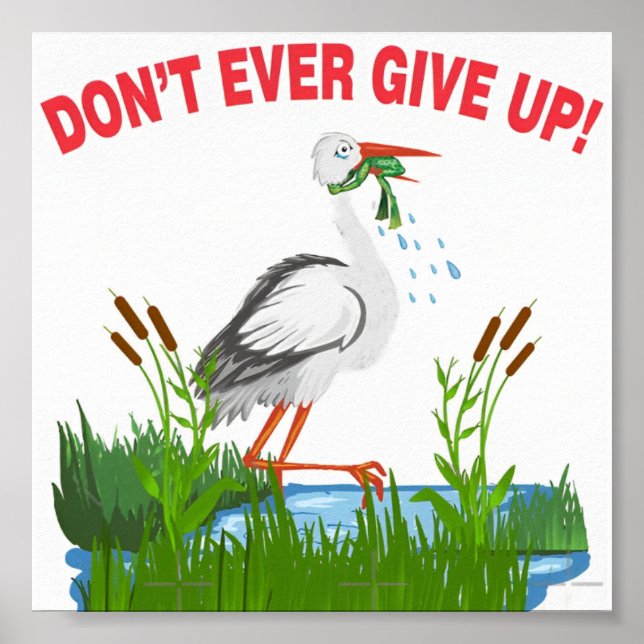 nunca desista do poster de presente de sapo (Frente)