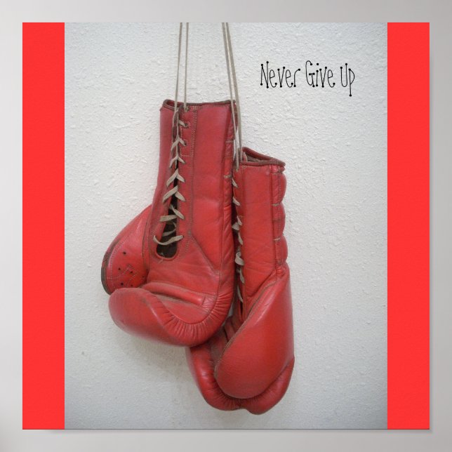 Nunca Desista, Poster de Boxing (Frente)