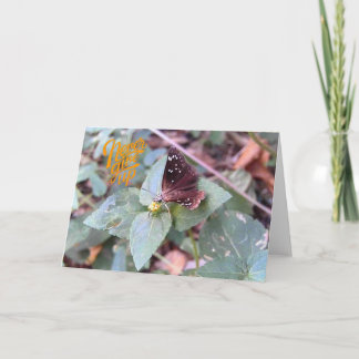 Nunca desistir do cartão de saudação da borboleta