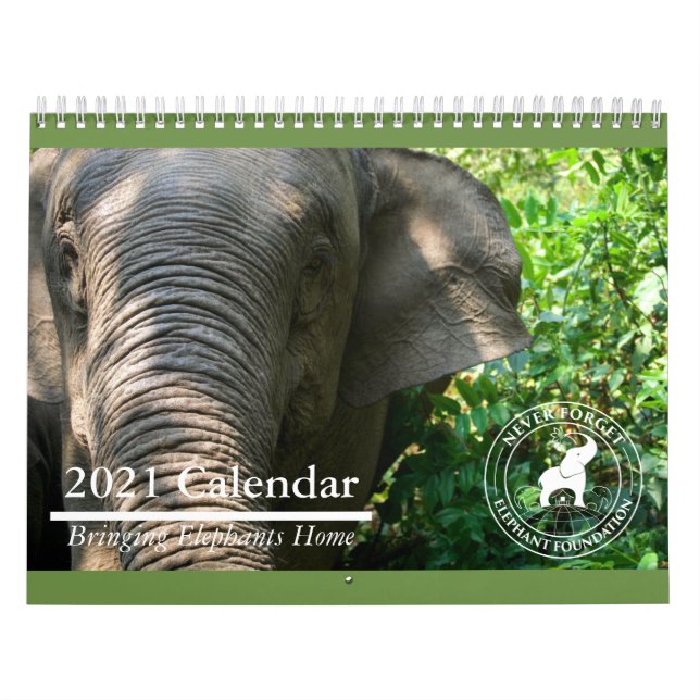 Nunca Esquecer o Calendário do Elephant Foundation (Capa)