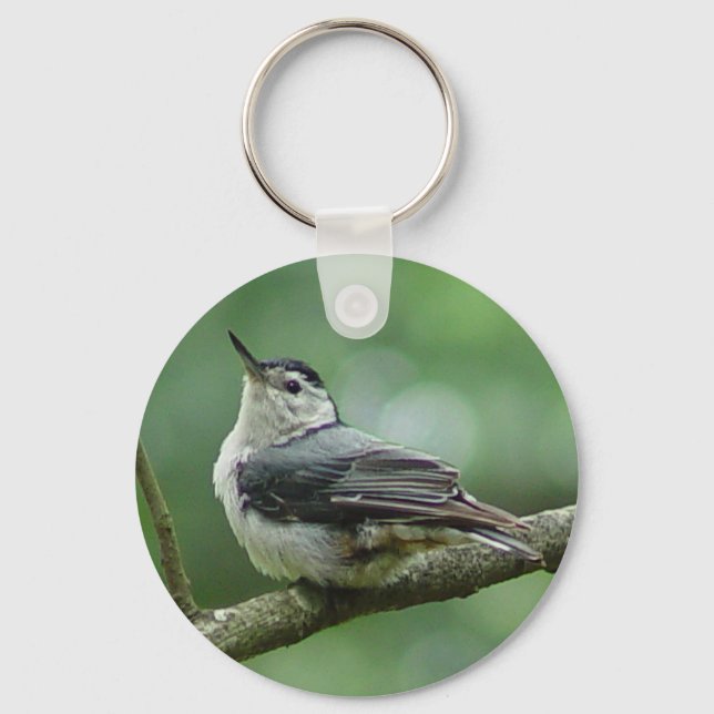 Nuthatch branco, Chaveiro 2 (Frente)