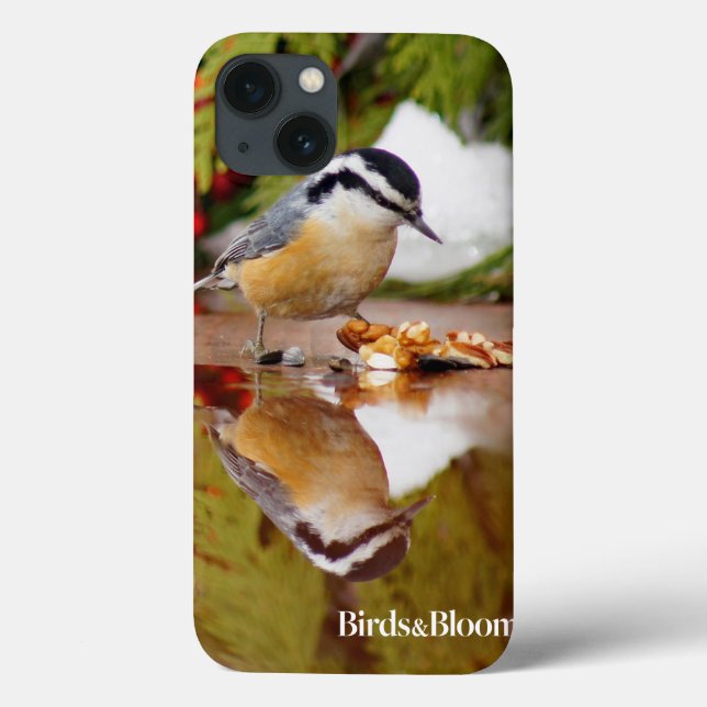 Nuthatch de peito vermelho (Verso)