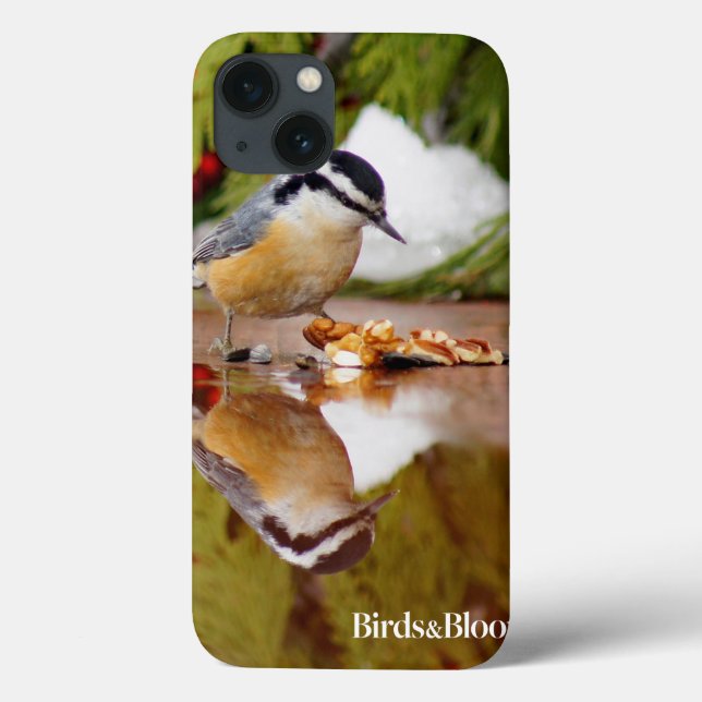Nuthatch de peito vermelho (Verso)