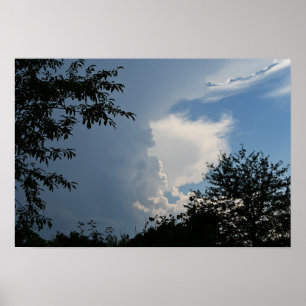 Nuvens e Poster de árvores