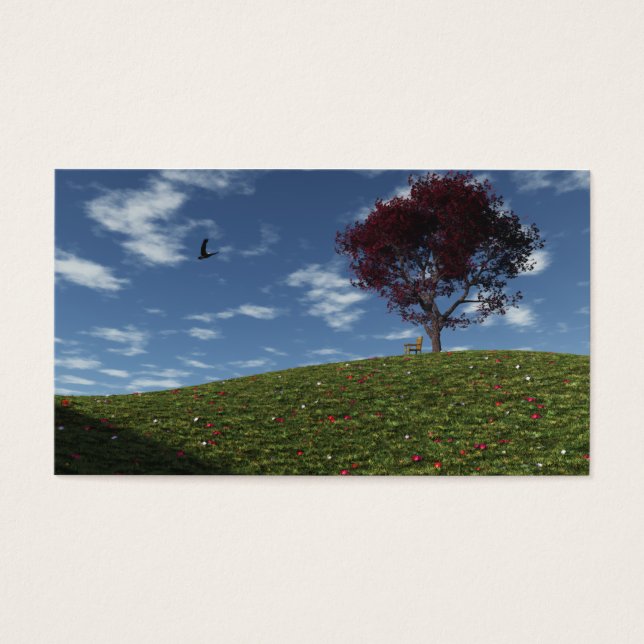 Nuvens navegam por marcadores (Frente)