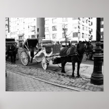 NYC Horse e Carruagem de Foto Branca Poster