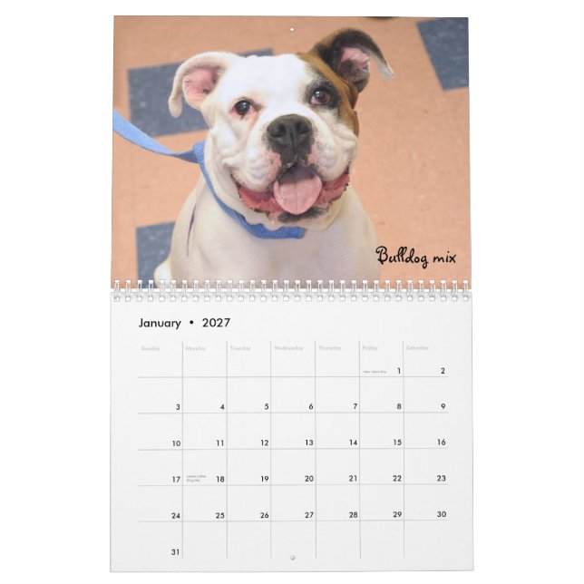O abrigo persegue o calendário (Jan 2027)