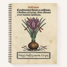 O Açafrão Crocus: Receita Medieval de Açafrão