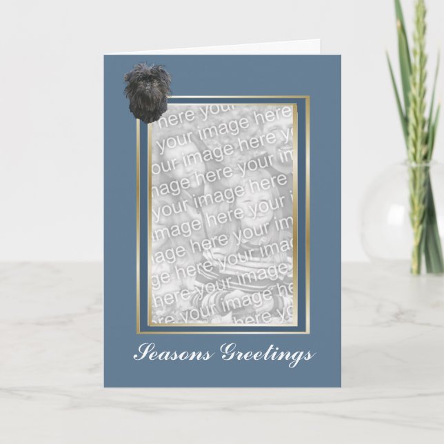 O Affenpinscher tempera cartões de fotos do (Frente)