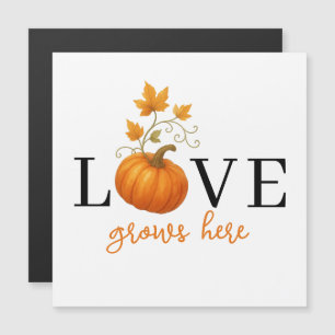 O AMOR cresce aqui Letra Pumpkin com Íman de out