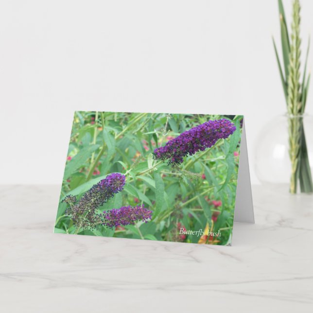 O amor é como um cartão de saudação de citação de  (Frente)