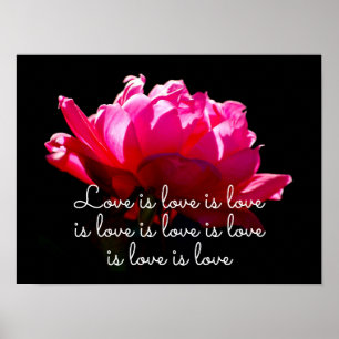O amor é o Rosa Dramático Poster