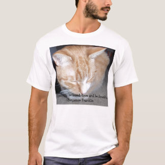O amor e seja a camisa adorável T básico