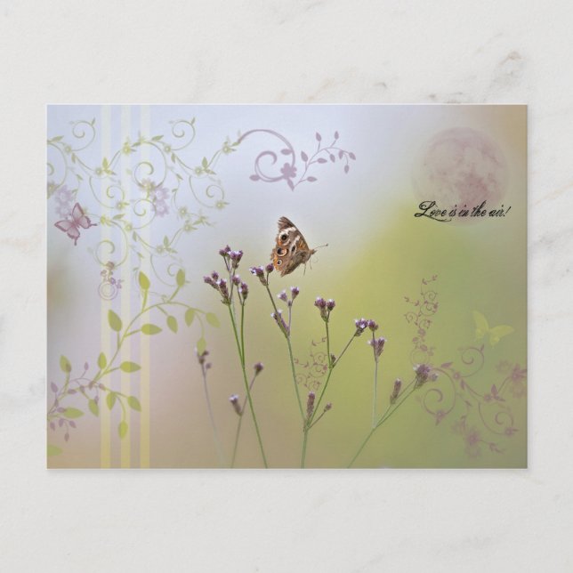 O amor está no ar! Cartão Postal (Frente)