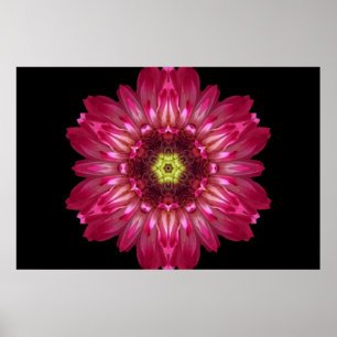 O amor permite o poster da mandala da flor