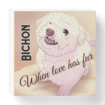 O Amor tem pelo Bichon