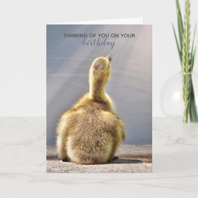 O aniversário ensolarado deseja cartão (Frente)