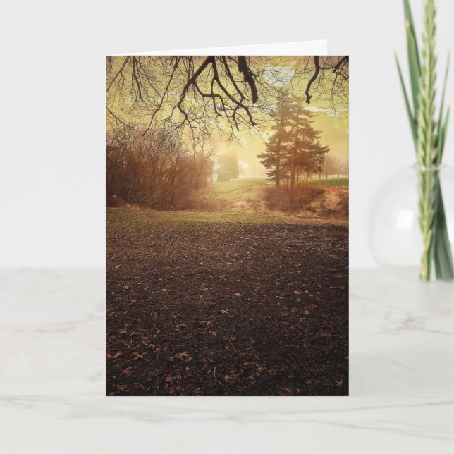 O aniversário perfeito da imagem deseja o cartão (Frente)