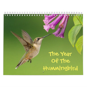 O Ano Do Calendário Do Hummingbird