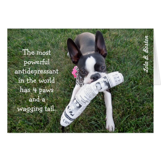 O antidepressivo o mais poderoso… CARTÃO VAZIO (Frente Horizontal)