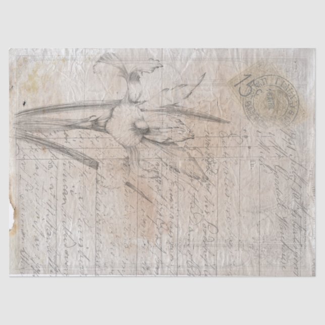 O antigo esboço botânico escrevendo papel de desvi (Frente )