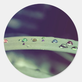 O arco-íris deixa cair etiquetas