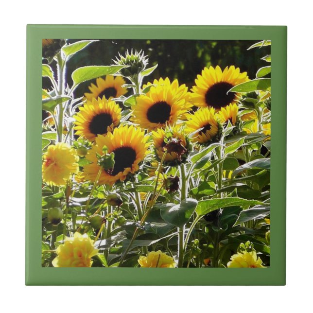 O azulejo pode ser usado como o resto da porta (Frente)