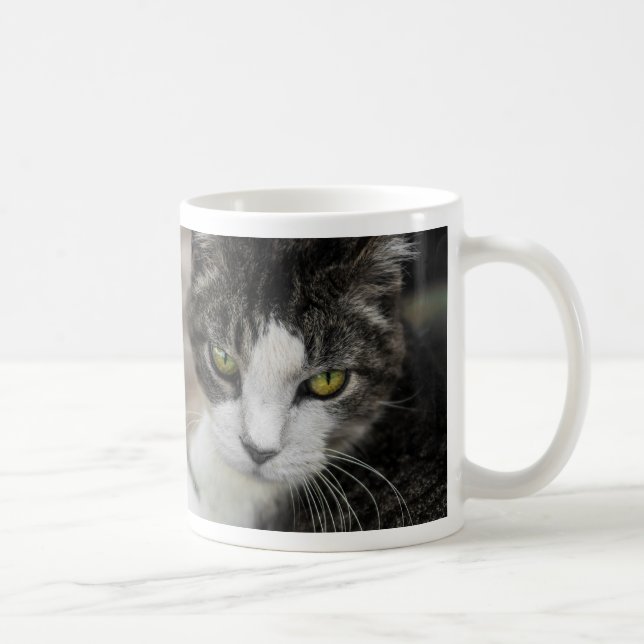O Bebê parece uma caneca de café (Direita)