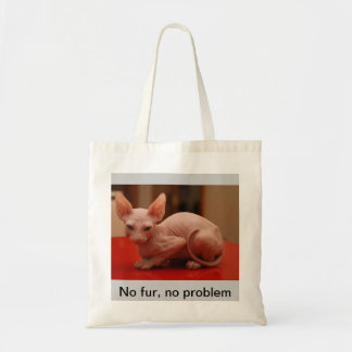 o bolsa com um gatinho bonito do sphynx