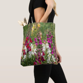 O bolsa não gosta de cada outro