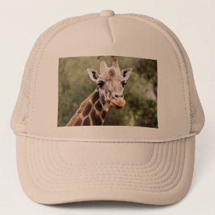 O boné do camionista do girafa