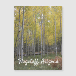 O brilho amarelo de Aspen