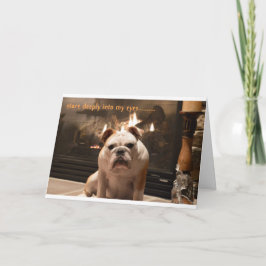 O buldogue obtem o cartão bom