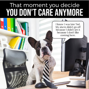 O Bulldog Francês Não Estabeleceu Camisa De Alarme