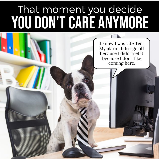 O Bulldog Francês Não Estabeleceu Camisa De Alarme (Criador carregado)