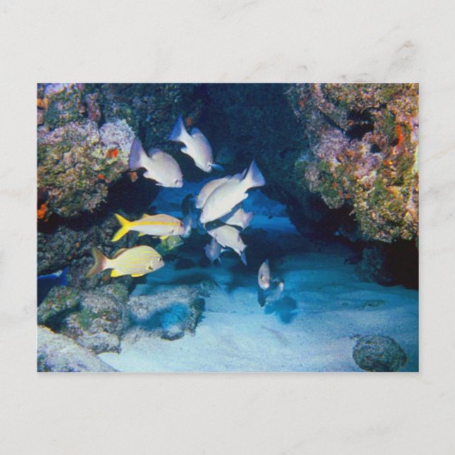 O BURACO NO CARTÃO DE PAREDE (Frente)