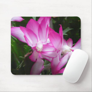 O cacto de Natal floresce Mousepad