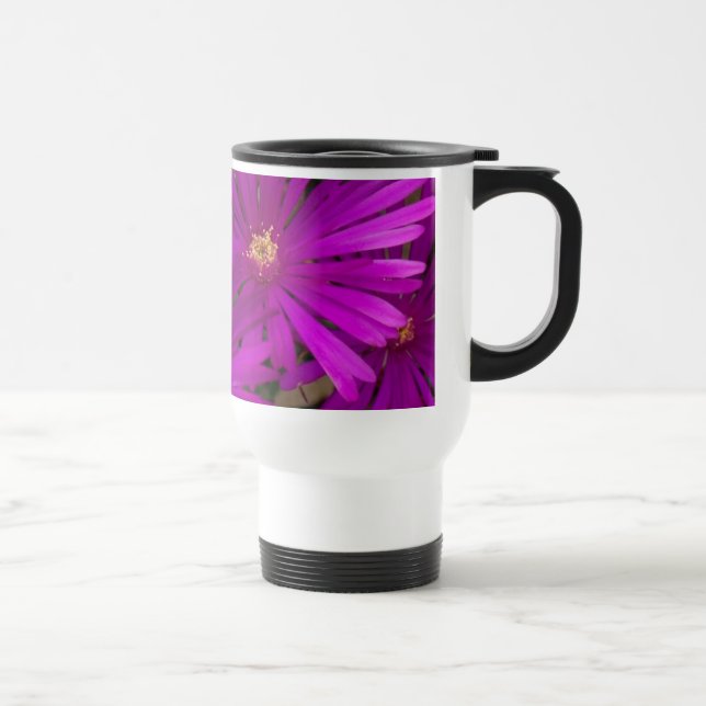 O cacto roxo floresce a caneca (Direita)