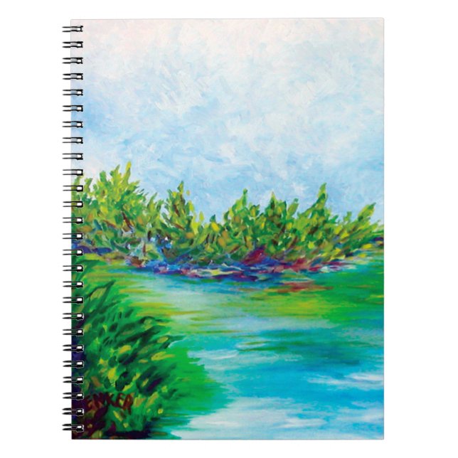 O CADERNO do lago (Frente)