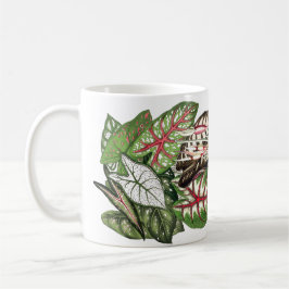 O Caladium sae da caneca