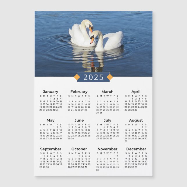 O Calendar Love Swans Foto Magnet 2025 (Frente)