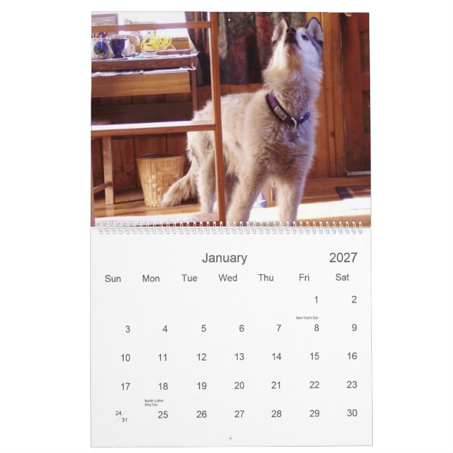 O calendário 2007 de Quinn (Jan 2027)