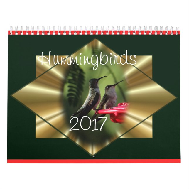 O calendário 2017 do colibri - mude o ano como (Capa)