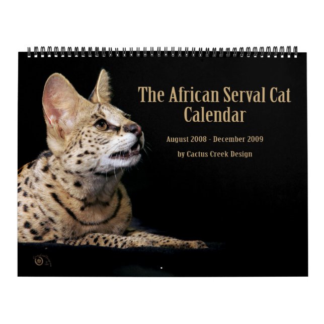 O calendário africano do gato do Serval (Capa)