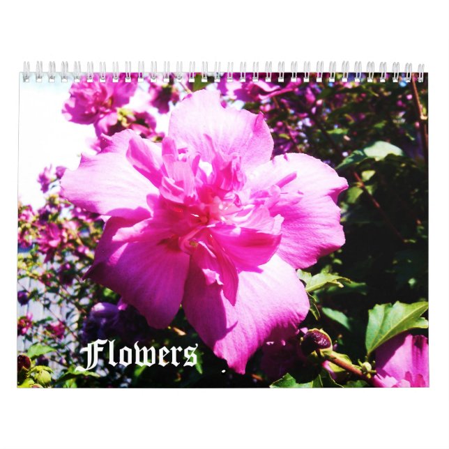 O calendário BEAUTY OF FLOWERS (Capa)